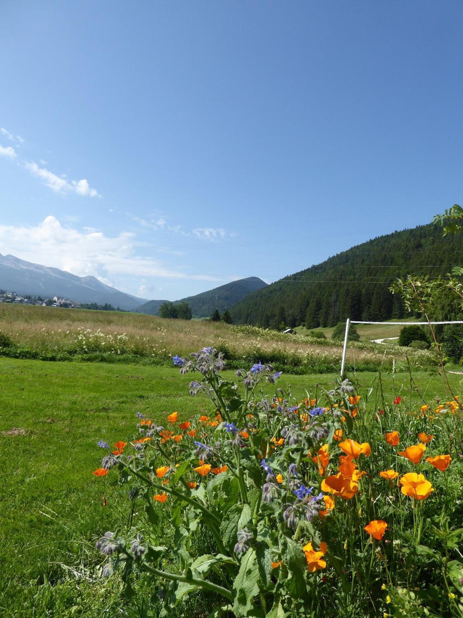 Ferme de la grande Moucherolle Villard-de-Lans Exterior foto